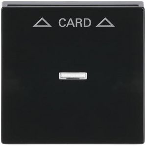 Centraalplaat afdekking v card-Schakelaar f-antraciet (1792-81)