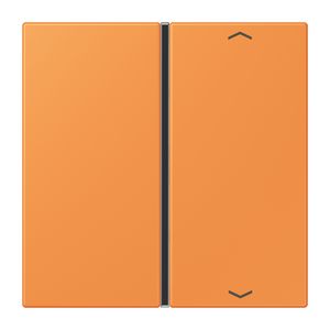 Tastafdekking F40 1-voudig compleetpijl LC32081 KNX