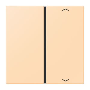 Tastafdekking F40 1-voudig compleetpijl LC32060 KNX