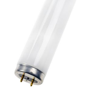 TL-buis TL G13 T12 38X1200 40W 840 VVE=25