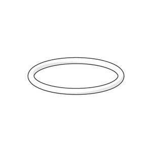 O-ring 59911479