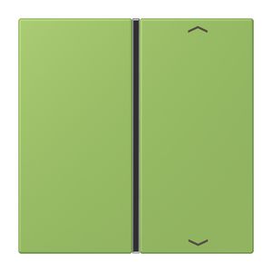 Tastafdekking F40 1-voudig compleetpijl LC32051 KNX