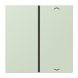 Tastafdekking F40 1-voudig compleetpijl LC32042 KNX