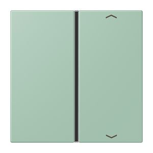Tastafdekking F40 1-voudig compleetpijl LC32041 KNX