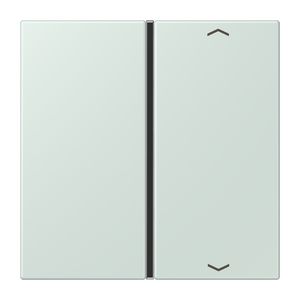 Tastafdekking F40 1-voudig compleetpijl LC32034 KNX