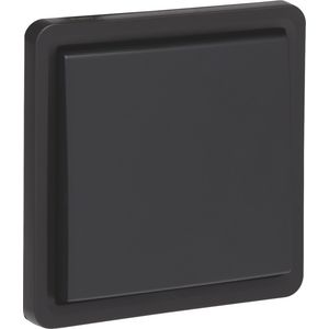 Spuitwaterdichte niet-verlichte knop 10A/250Vac schroef zwart