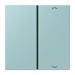 Tastafdekking F40 1-voudig compleetpijl LC32033 KNX