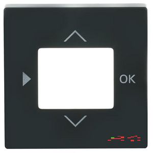 Centraalplaat voor timer/CO2/thermostaat f-antraciet (6435-81)