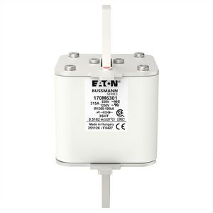 Zekering hoge snelheid 315A AC 1250V 100kA size 3 76x76x1