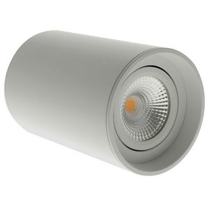ED-10064 Surface-Mounted Spot Fixture Round White