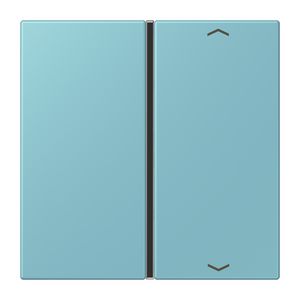 Tastafdekking F40 1-voudig compleetpijl LC32032 KNX