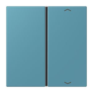 Tastafdekking F40 1-voudig compleetpijl LC32031 KNX