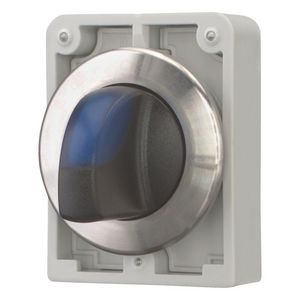 Signaalkeuzeschakelaar 30mm RVS vlak blauw 3 standen terugv