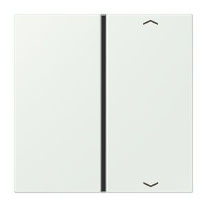 Tastafdekking F40 1-voudig compleetpijl LC32024 KNX