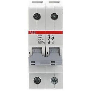 Aan-Uit schakelaar grijs 2 P 100A