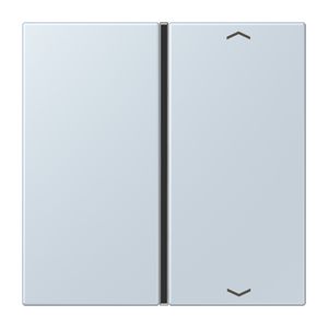 Tastafdekking F40 1-voudig compleetpijl LC32023 KNX