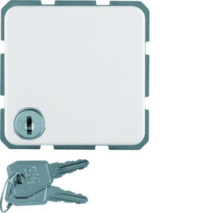 Wandcontactdoos+randaarde klapd. en sleutelsluiting IP44 inb