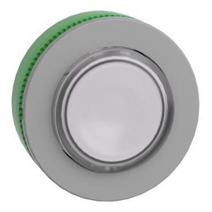 Flush mounted white projecting illum pushbutton head integr.
