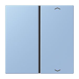 Tastafdekking F40 1-voudig compleetpijl LC32021 KNX