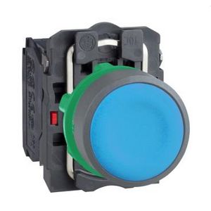 blue flush pushbutton 1NO 1NC screw clamp cp grey
