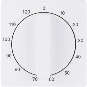 Centraalplaat + greep voor 1071U 120min f-matwit (1771-884-103)