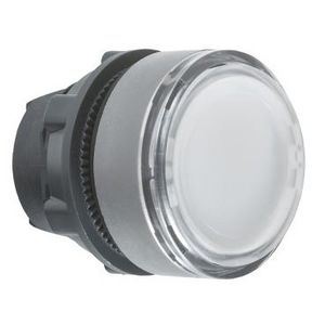DOUBLE ILL. PUSHBUTTON HEAD