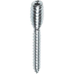 Doos a 50st. Afstandschroef verstelbaar 6x100mm T-25 verzinkt