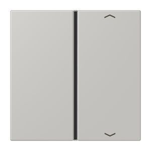 Tastafdekking F40 1-voudig compleetpijl LC32013 KNX