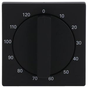 Centraalplaat + greep voor 1071U 120min f-matzwart (1771-885-103)
