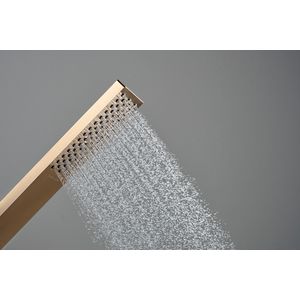 Pulsify E staafhanddouche 100 1 straalsoort EcoSmart Brushed Bronze
