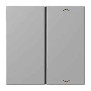 Tastafdekking F40 1-voudig compleetpijl LC32012 KNX