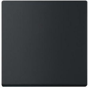 FoH-bedieningswip enkel Future mat zwart (6735 BT-885)