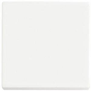 FoH-bedieningswip enkel Future mat wit (6735 BT-884)