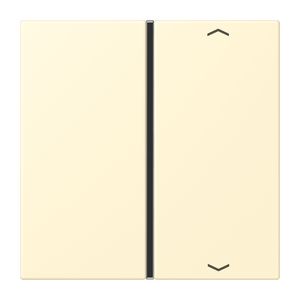 Tastafdekking F40 1-voudig compleetpijl LC32001 KNX