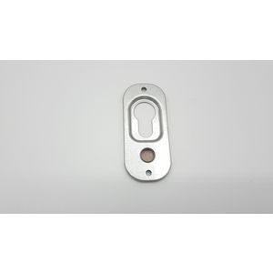 Bevestigingsplaat ontsteekpen