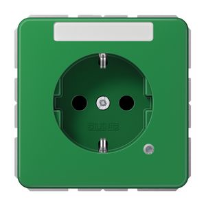 Wandcontactdoos groen m.R/A tekstvast&glimlamp CD500