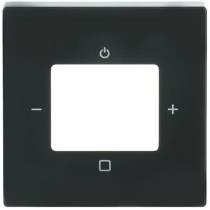 Centraalplaat voor digitale radio f-antraciet (8252-81-101)