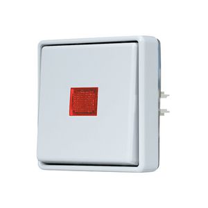 Wipcontroleschakelaar WG600 2-pol.z.onderk.