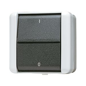 Wipschakelaar WG800 2-polig m.onderkast