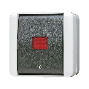 Wipcontroleschakelaar WG800 2-pol.m.onderk.