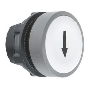 white flush pushbutton head black markedARROW" cp grey