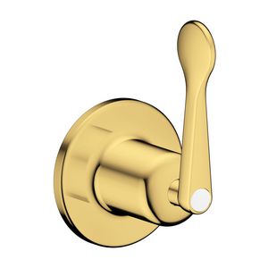 AX Archivio afbouwdeel inbouwstopkraan met rechte greep Polished Gold Optic