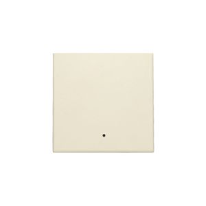 Afwerkingsset lens enkelvoudige elektr. Schakelaar cream