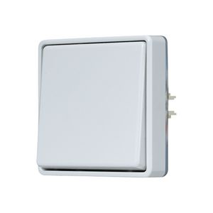 Wipschakelaar WG600 2-polig z.onderkast