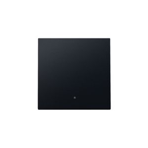 Afwerkingsset lens enkelvoudige elektr. Schakelaar black c.