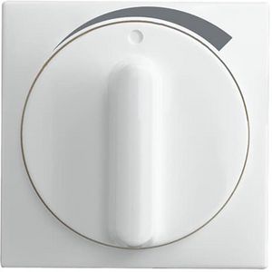 Centraalplaat + greep volume SI-B-alpinwit (1740 DR/03-914)