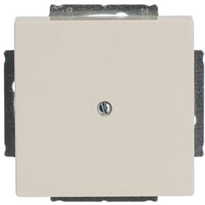 Centraalplaat blinde inb draag s-ivoor