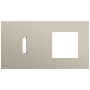 Afdekplaat 2-voud horiz. 71mm centerafst. 166-56805