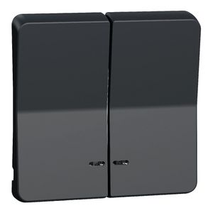 Inzetstuk Dubbele wip Controlevenster IP55 Grijs Mureva Styl