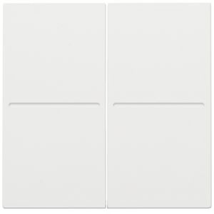 2-voudige toets RF dimschakelaar Hue BT EnOcean KNX white c.
